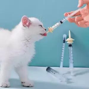 강아지 피딩 주사기 새끼 정량 고양이 반려동물 피딩 주사기 동물용 실리콘 먹이기 젖꼭지 세척 사료 약통