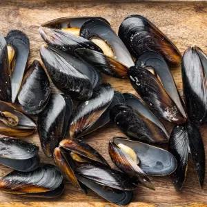 국내산 홍합 9KG 홍합 1 2 3 4