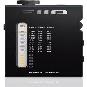 아날로그 PVR 튜닝 BASS+3D 음향 효과 64MHz-108MHz(블랙 고해상도 오디오 인증)를 갖춘 FiO RR11 휴대용