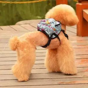 강아지 유치원 가방 강아지백팩 강아지배낭 강아지가방 유치원가방 산책가방