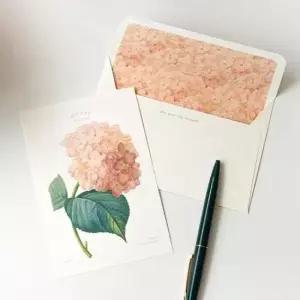[문구] 감성 카드 세트 플라워 A 4P 엽서 봉투 스티커 편지지