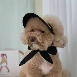 ToB 모자 여름 밀집 썬캡 블랙 애견 강아지 리본 아이보리