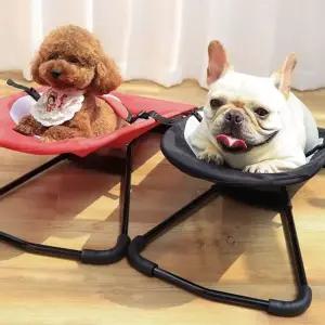 TBZ 잔솔 강아지 흔들 침대 캠핑의자 해먹 쇼파 고양이 펫