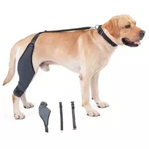 반려견 무릎 보호대 스포츠 보조기 뒷다리 강아지 관절 보호대 보행 재활 지지대 재활용품 방지 산책 용품