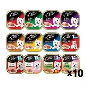애견캔 시저캔 애견 통조림간식 습식 주식캔 영양 100g X10개