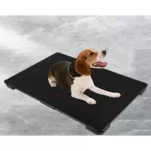 대형견체중계 유기견 반려묘 바닥 체중계 애견샵 대형견