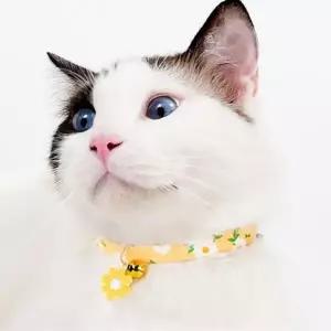 반려묘 반려견 패션 꽃목줄 인식표 펫 방울목걸이 동물 방울목걸이