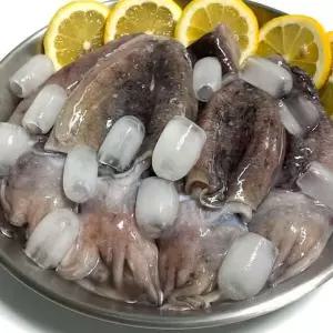 국내산 손질 급속냉동 갑오징어 꼬마 1KG 국산갑오징어 국내산갑오징어 손질갑오징어