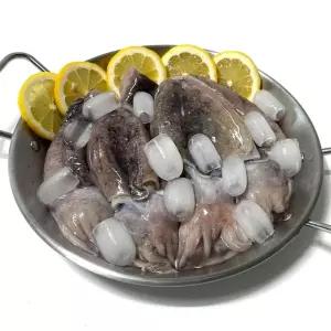 군산직송 국내산 손질 갑오징어 중사이즈 갑오징어 손질 국내산 손질오징어 군산직송