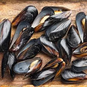 국내산 통영 세척 홍합 3KG 국내산홍합 국산홍합 통영홍합 세척홍합 제철홍합