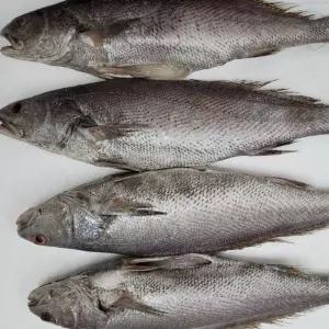 반건조 민어 선물세트 5미 설 설날 명절 선물 선물세트