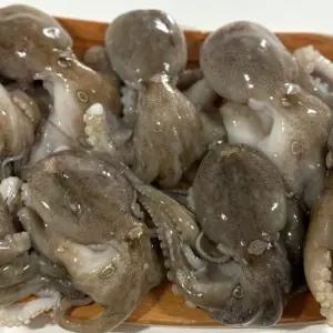 냉동 통쭈꾸미 2KG 냉동쭈꾸미 급냉쭈꾸미 급랭쭈꾸미 통쭈꾸미 중국산쭈꾸미