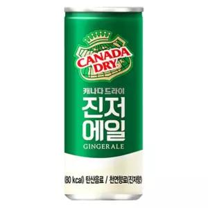 캐나다드라이 진저에일 250ml 30캔 에이드 위스키 보드카 소토닉 트레비