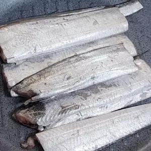 국내산 냉동 갈치 10미 갈치 냉동갈치 생선 토막갈치 손질갈치