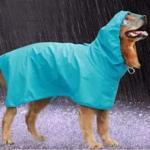 [JHP1P920_51CM]9XL 대형견 레인코트 소형견 노랑 눈 방수 (29062683A)