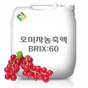 오미자농축액 20kg