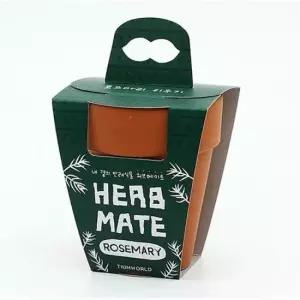 거실화분 반려식물 로즈마리 키우기 재료 모음 세트