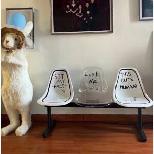 버스정류장 의자 야외 벤치 야구장 플라스틱의자 공원 카페 야외용