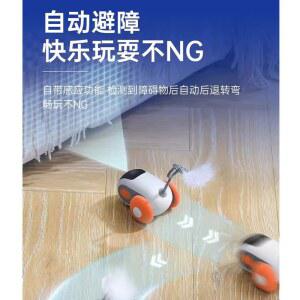 무선조종 미니카 애완 동물 고양이