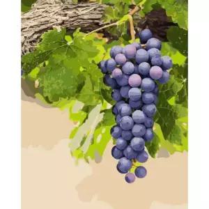 피포페인팅 2049 재물과풍수 포도 40x50 DIY 명화 유화 그리기 인테리어액자 현관복도