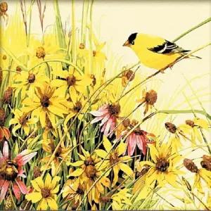 피포페인팅 Z092 노랑새와야생화 DIY명화그리기 명화인테리어 그림인테리어 유화액자