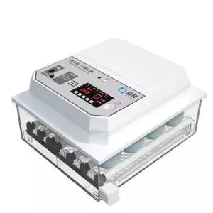 병아리 부화기 메추리 조류용품 조류부화기 미니부화기 스마트