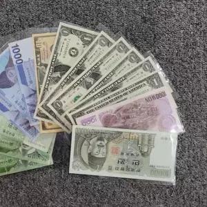 지폐홀더 100장 동전 앨범 지폐보관팩 수집용품