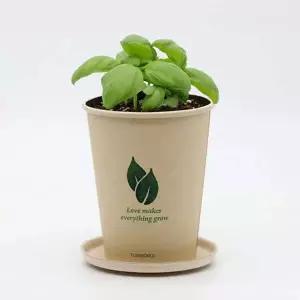 [RIZPICK]미니 화분 바질 키우기 씨앗 재료 묶음 키우기쉬운식물 집들이선물