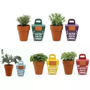 [RIZPICK]다년생 반려식물 허브 키우기 모음 키트 키우기쉬운식물