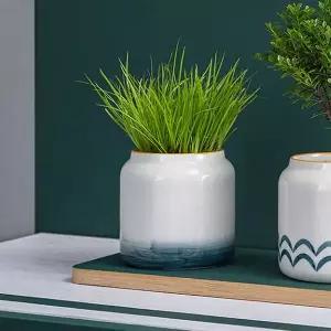 포레스트 그라데이션 도자기 다육이화분 미니 화분