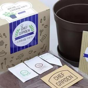 [RIZPICK]홈가드닝 채소 텃밭 스위트바질 야채 재배 패키지 키우기쉬운식물