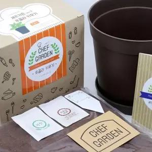 [RIZPICK]홈가드닝 채소 텃밭 루꼴라 야채 재배 패키지 키우기쉬운식물