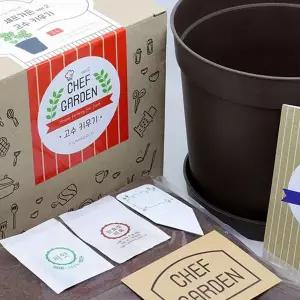 [RIZPICK]홈가드닝 채소 텃밭 고수 야채 재배 패키지 키우기쉬운식물