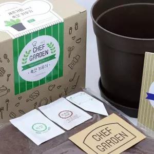 [RIZPICK]홈가드닝 채소 텃밭 쑥갓 야채 재배 패키지 키우기쉬운식물