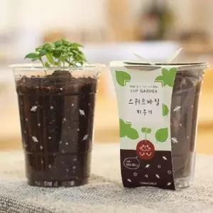 [RIZPICK]바질 씨앗심기 씨드볼 미니화분 흙 패키지 키우기쉬운식물