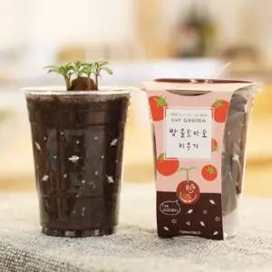 [RIZPICK]방울토마토 씨앗심기 씨드볼 미니화분 흙 패키지 키우기쉬운식물