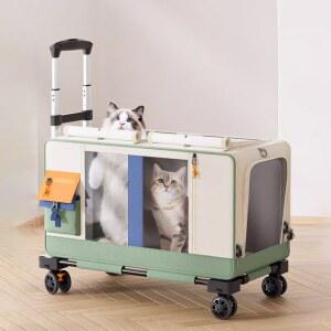 반려동물 고양이 반려묘 반려견 강아지옷 외투 2단 인테리어 스텝 성탄 강아지옷장 방석