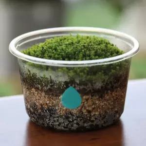[RIZPICK]키우기쉬운 식물 이끼 화분 흙 모음 키트 키우기쉬운식물