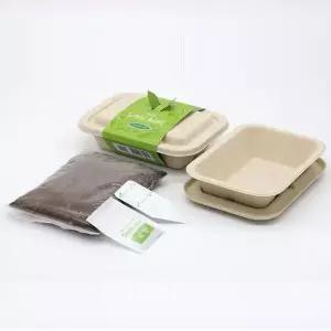 [RIZPICK]나만의 야채 텃밭 귀리 재배 모음 키트 키우기쉬운식물 집들이선물