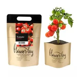 미니 DIY키트 방수화분 방울토마토 재배 세트 키우기쉬운식물