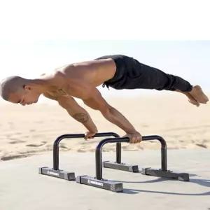 강철 높은 플란체바 삼각형 맨몸운동 스틸 푸시업바 푸쉬업바 가용 스탠드 통원목 운동기구