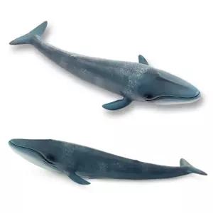 말랑말랑한 해양생물 모형 흰수염고래 피규어 동물원 집콕놀이 어린이선물