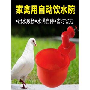 급수통 닭물통 병아리 양동이 가금 물통 물그릇 전기 음수대 그릇 먹이통 5개 15kg 식수 자동 조류