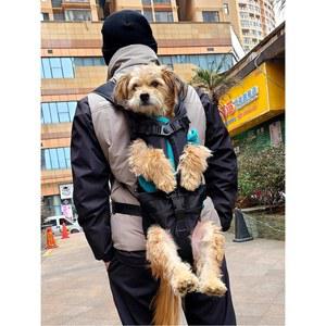 애견띠 강아지 가슴 가방 등산 고양이 산책 포대기