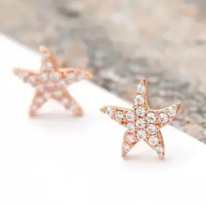 직장인귀걸이 골드필드 핀 큐빅 별 일자침 귀걸이 14K