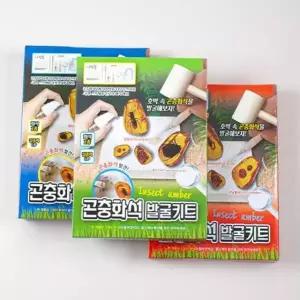 보석발굴키트 곤충화석발굴키트