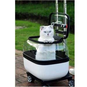 강아지 투명 고양이 케이비 바퀴달린 흰색 손잡이 이동 단층 외출