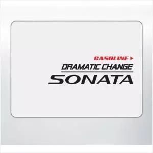 D24 쏘나타호환 뉴라이즈 주유구 데칼스티커 주문제작 포인트스티커