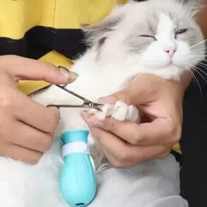 고양이발커버 4PCS 스크래치 방지 보호대 목욕 발톱