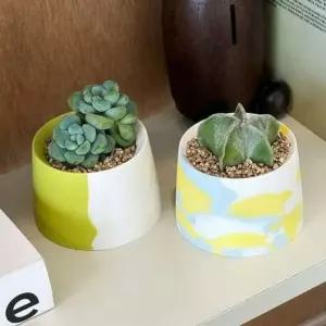 키우기 쉬운 플랜 테리어 패턴 도자기 다육 식물 키트 다육이 미니 화분 세트 반려
